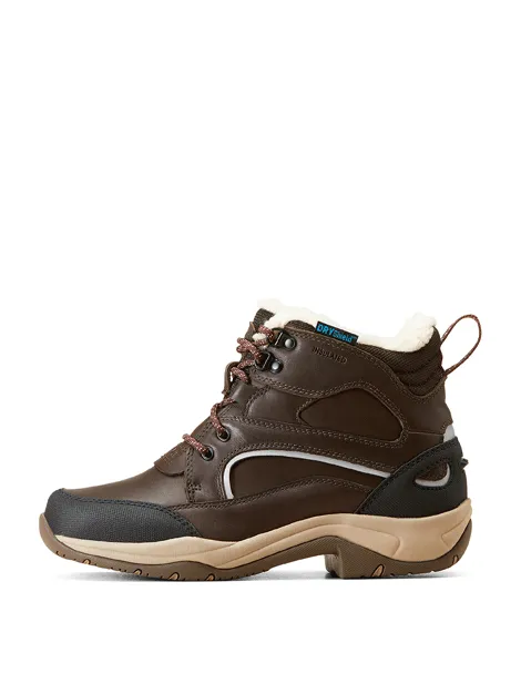 Ariat Telluride Waterproof Insulated Boot