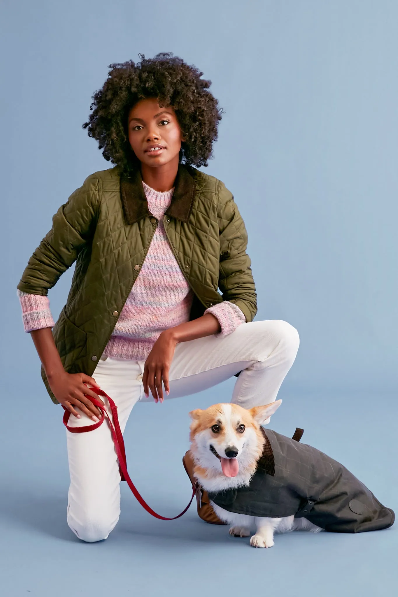 Classic Tartan Wax Dog Coat