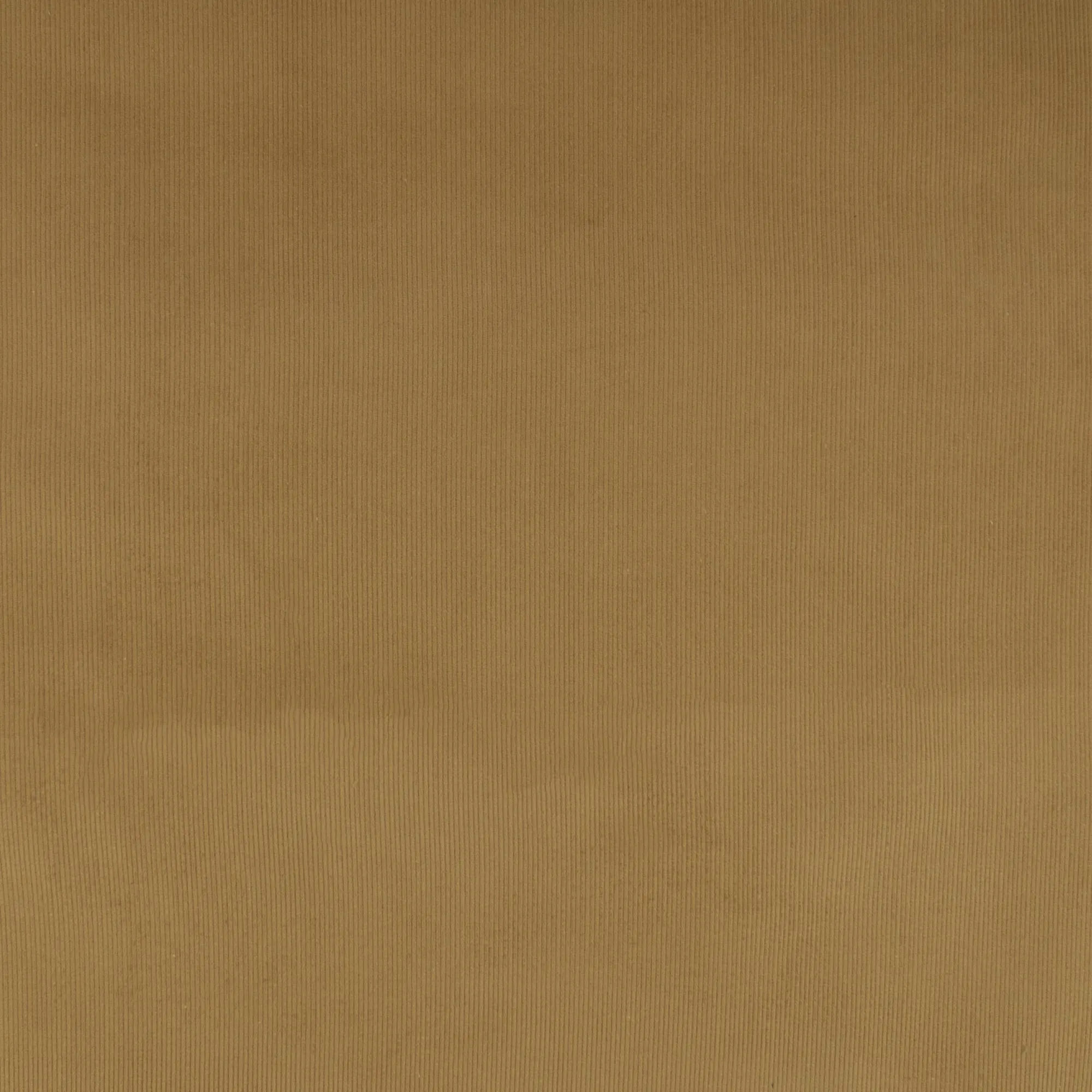 Corduroy - NOMAD - 002 - Beige