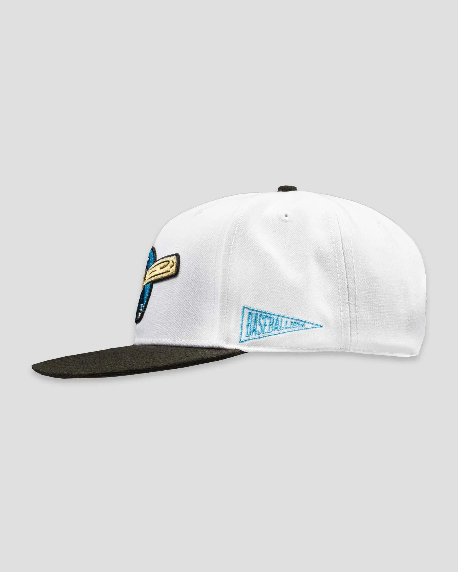 Heavy Hitters Cap