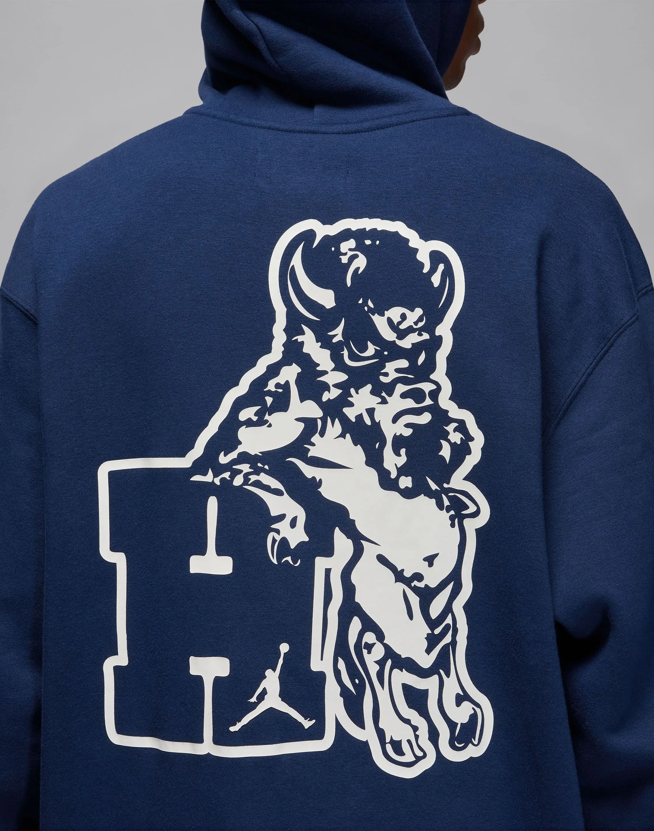 Jordan Howard University Pullover Hoodie