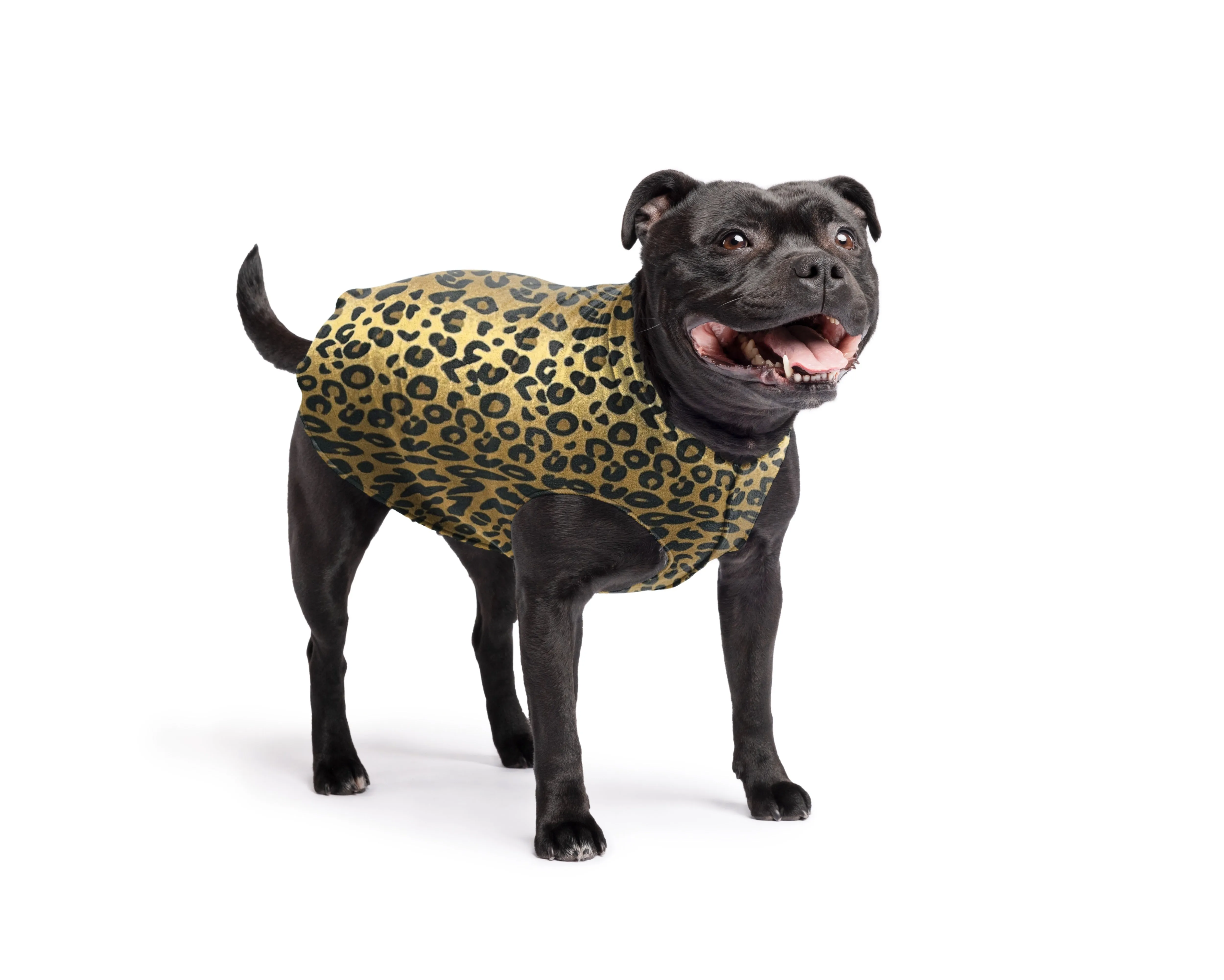 leopard stretch fleece