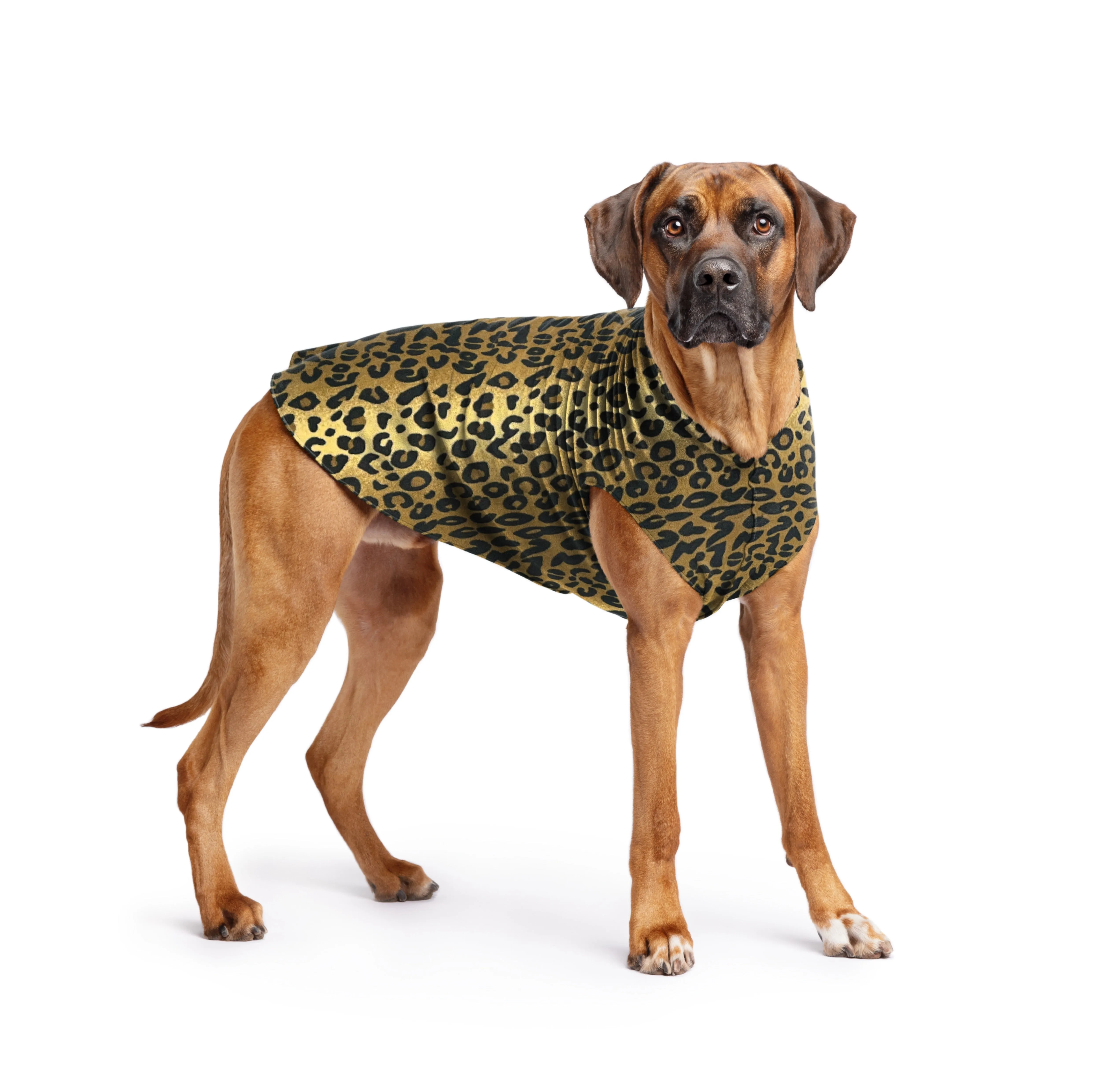 leopard stretch fleece
