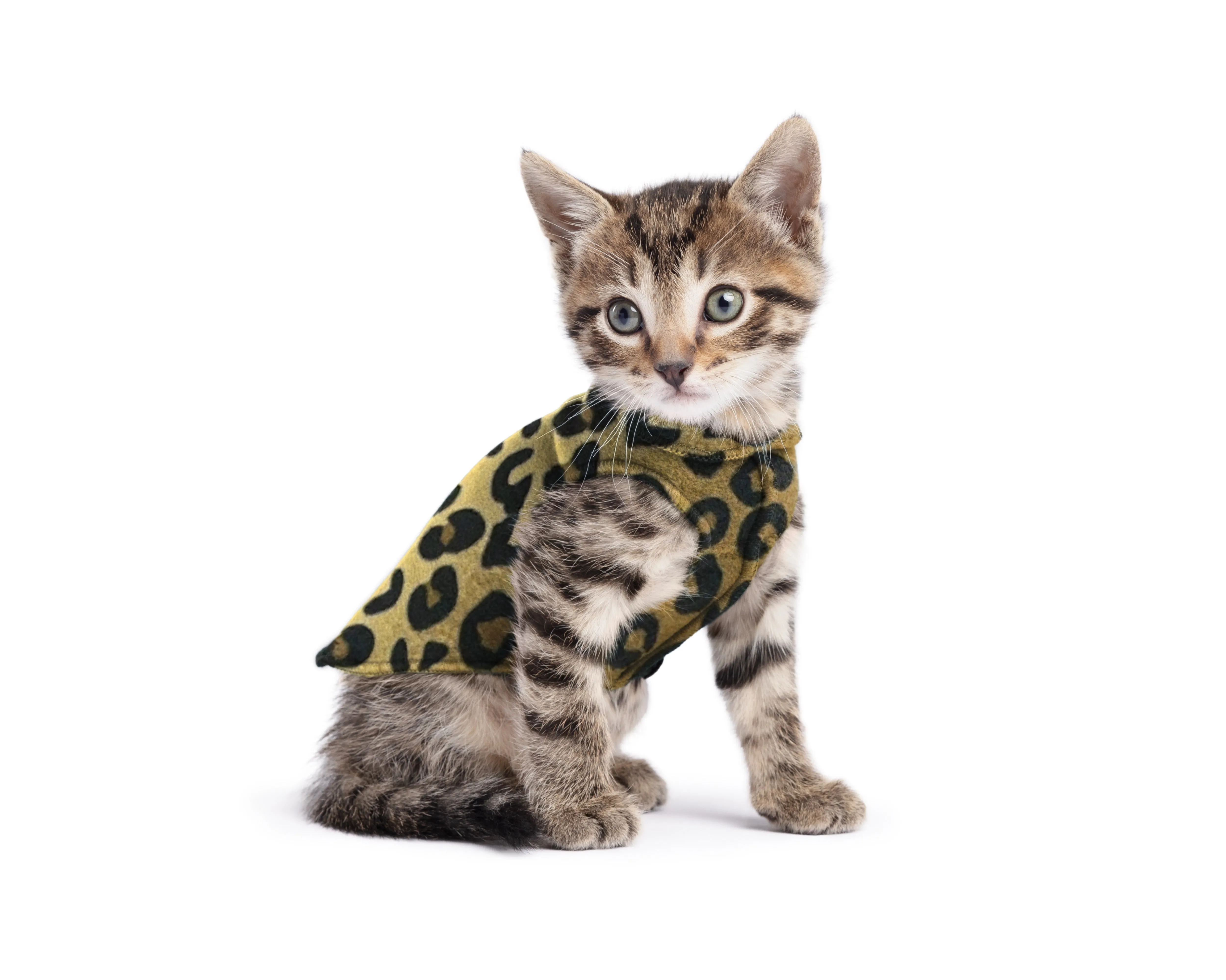 leopard stretch fleece